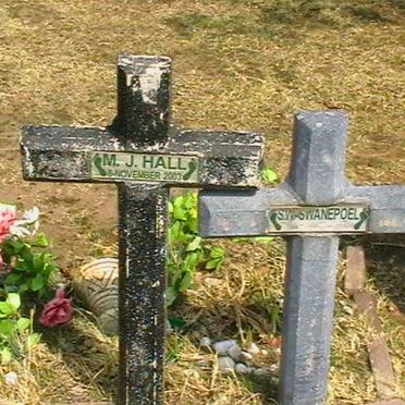 HALL M.J. -2003 :: SWANEPOEL S.W.