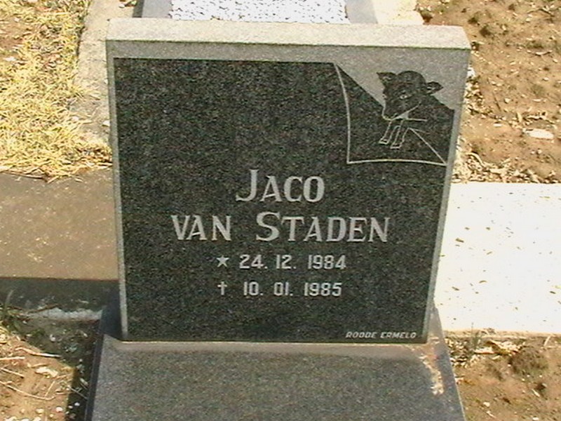 STADEN Jaco, van 1984-1985