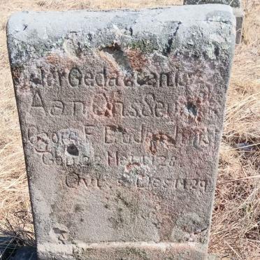 BADENHORST G.F. 1928-1929