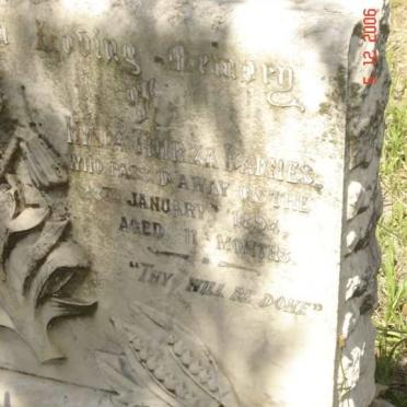 BARNES Maria Thirza  -1894