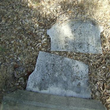 DESFOUNTAIN May -1887