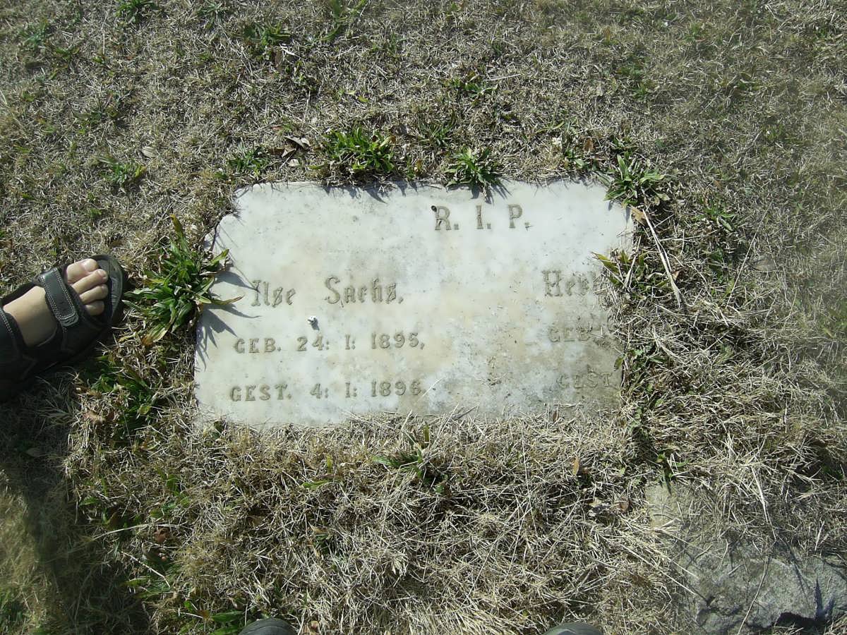 SACHS Ilse 1895-1896 :: SACHS H. -??