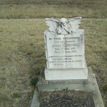 DEYSEL Josua E. 1951-1951