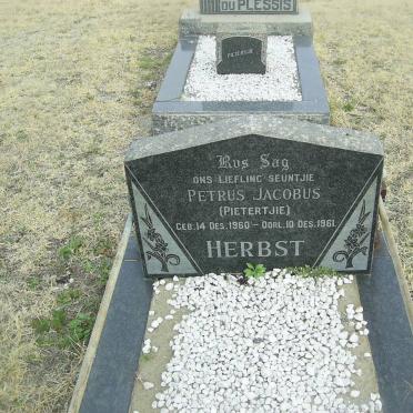 HERBST Petrus Jacobus 1960-1961