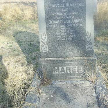 MAREE Dewald Johannes 1886-1950