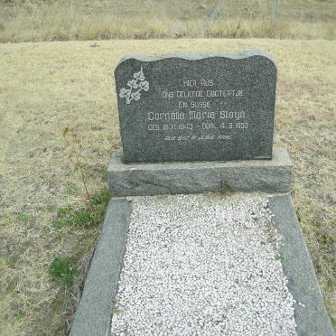 STEYN Cornelia Maria 1943-1953