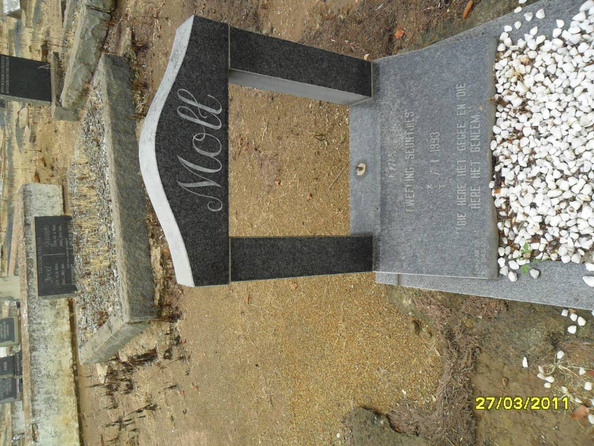 MOLL ? 1993-1993 :: MOLL ? 1993-1993