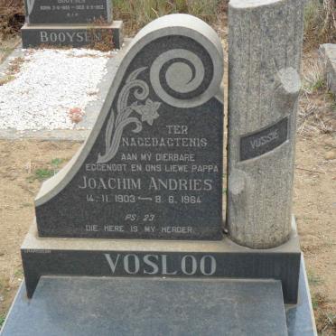 VOSLOO Joachim Andries 1903-1964