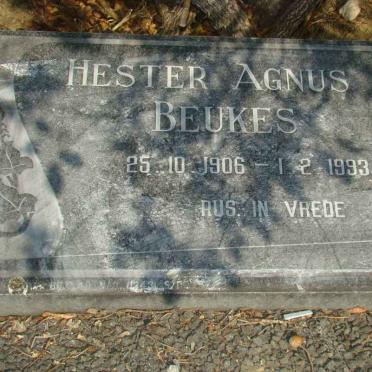 BEUKES Hester Agnus 1906-1993