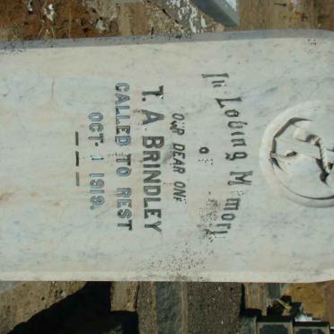 BRINDLEY T.A.  -1919