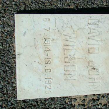WILSON David John 1914-1925