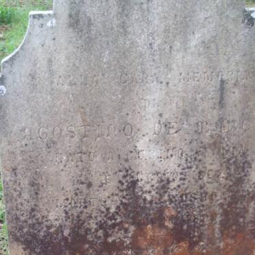 M - Surnames :: Vanne - M