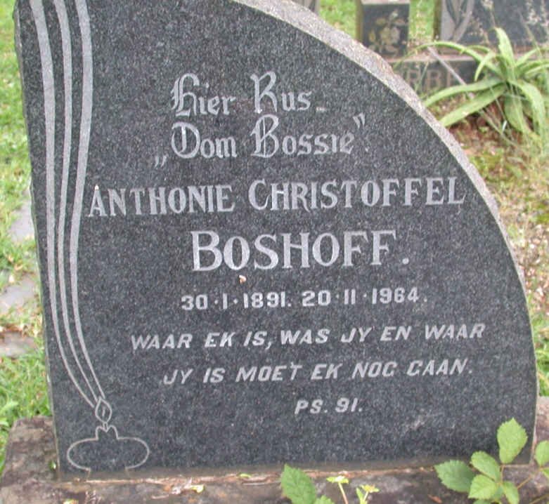 BOSHOFF Anthonie Christoffel 1891-1964