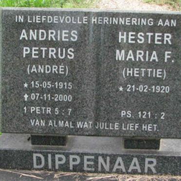 DIPPENAAR Andries Petrus 1915-2000 &amp; Hester Maria F. 1920-