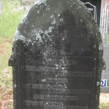 GROVE Maria E. 1926-1949 :: GROVE Johanna 1930-1934 :: GROVE Kittie 1933-1935