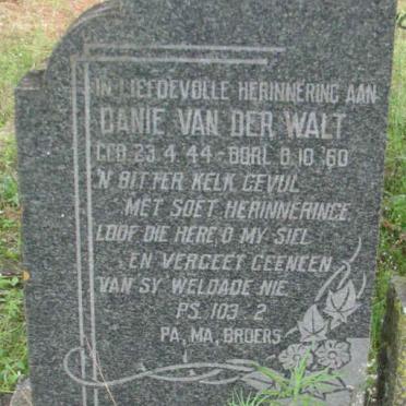 WALT Danie, van der 1944-1960
