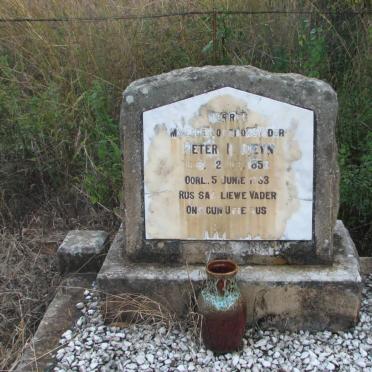 STEYN Peter I. 1853-19?3