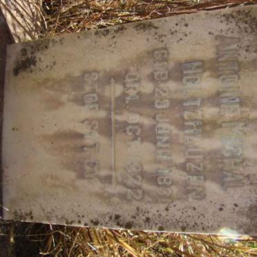 HOLTZHAUZEN Antonie Michal 1831-1922