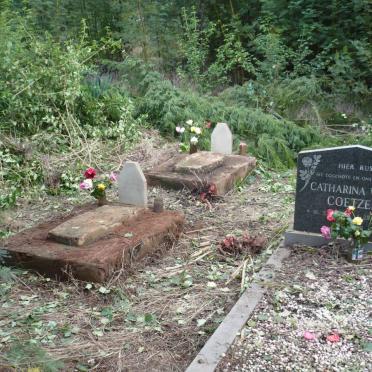 1. Overview on cemetery