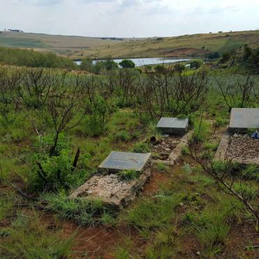 1. Overview of Cemetery
