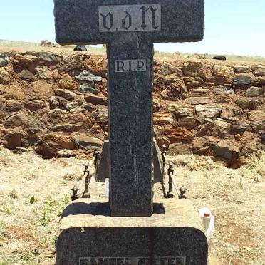 NEST Samuel Pieter Martinus, van der 1874-1944