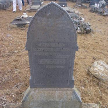 COETZEE Jacoba Johanna 1886-1921