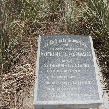 Mpumalanga, CAROLINA district, Carolina, Goedeverwaching 81 IT, farm cemetery