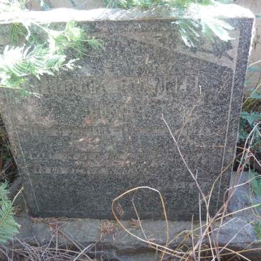 Mpumalanga, CAROLINA district, Hendrina, Groblersrecht 175_1, farm cemetery