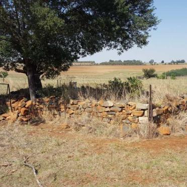 Mpumalanga, CAROLINA district, Carolina, Leliefontein 1, farm cemetery_2