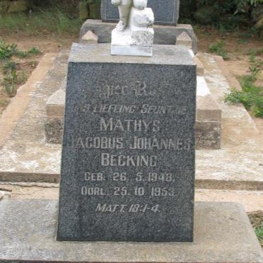 BECKING Mathys Jacobus Johannes 1948-1953