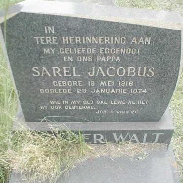 WALT Sarel Jacobus, van der 1916-1974