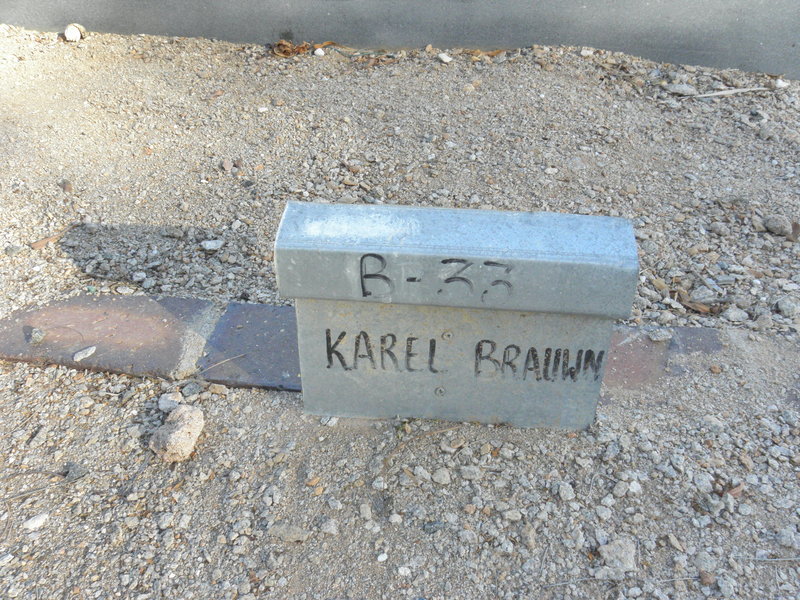 BRAUWN Karel