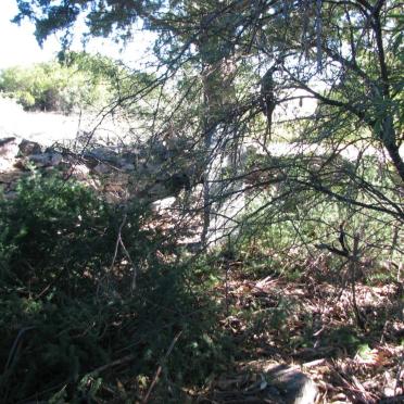 3. Overview on the tombstones behind the bushes