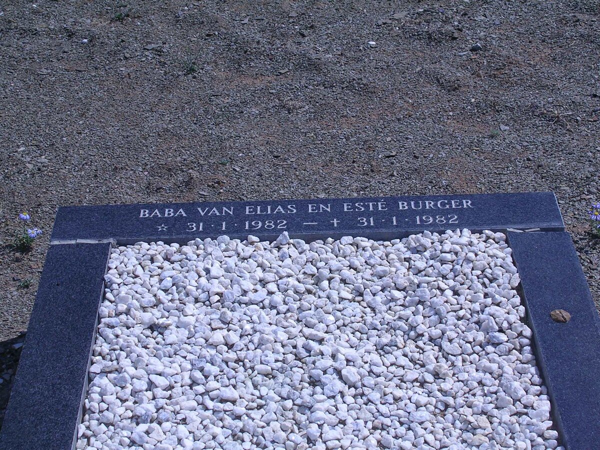 BURGER Baby 1982-1982