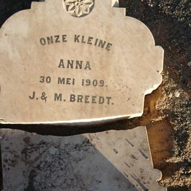 8. Vandalism in 2019