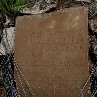 VICTOR Johannes Petrus 1854-1928