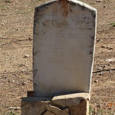 WYK Willem Jacobus, van 1837-1897