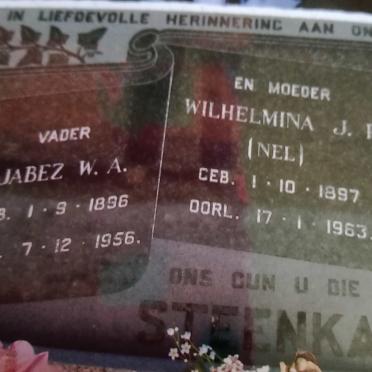 Northern Cape, CALVINIA district, Brakbosvlakte, farm cemetery