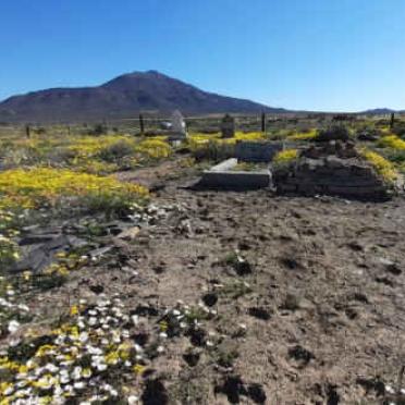 1. Oorsig / Overview