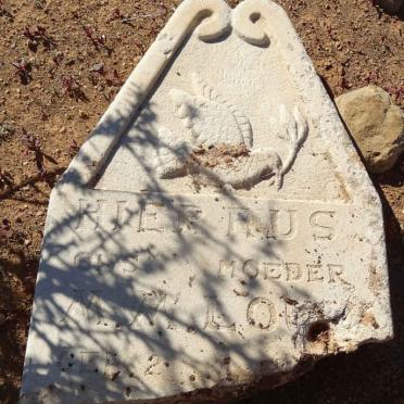 LOUW Maria Magaretha nee STEENKAMP 1854-1925