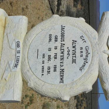 MERWE Jacobus Alewyn, v.d 1916-1931