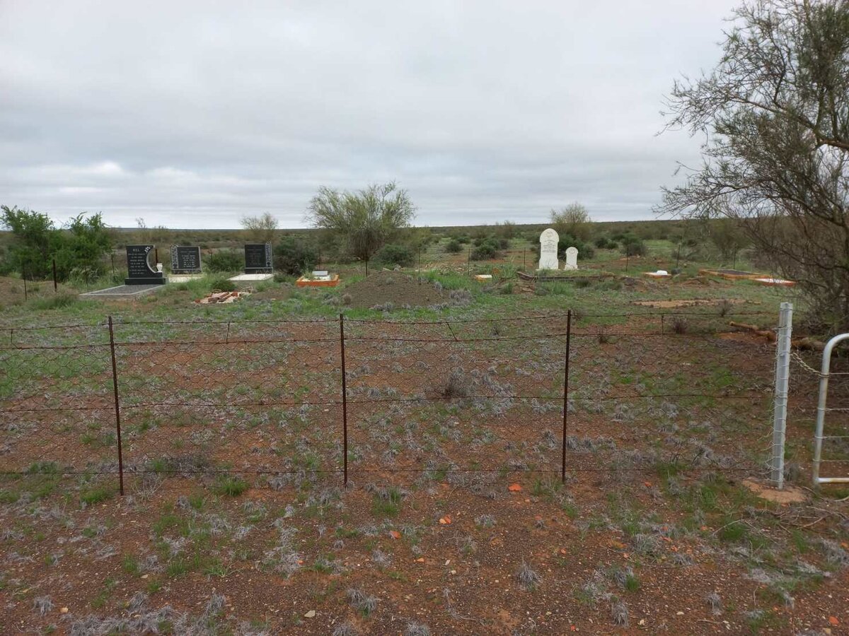 1. Oorsig / Overview