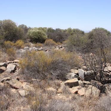 6. Overview / Oorsig