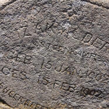 STEENKAMP Izak Aldert 1902-1902