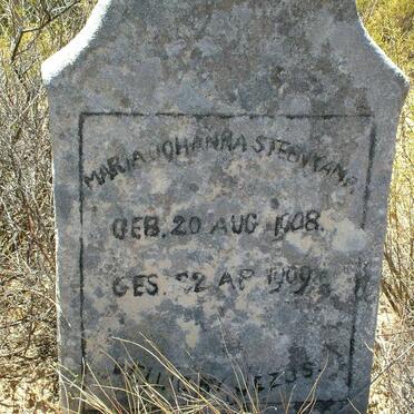 STEENKAMP Maria Johanna 1908-1909