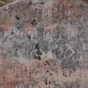 NEL Jacob Willem Stephanus 1877-1877 