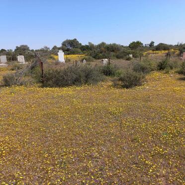 Northern Cape, CALVINIA district, Noord-Bokkeveld, Perdekraal 464, Kookfontein, farm cemetery