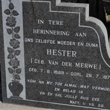 SCHOLTZ Hester nee VAN DER MERWE 1889-1971