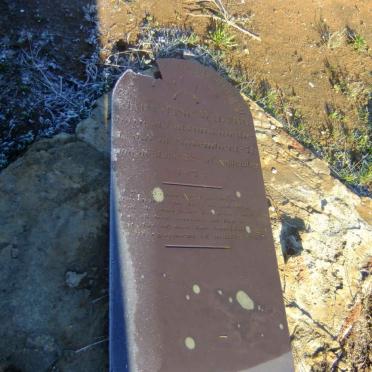 WALTER Mary Jane 1871-1873