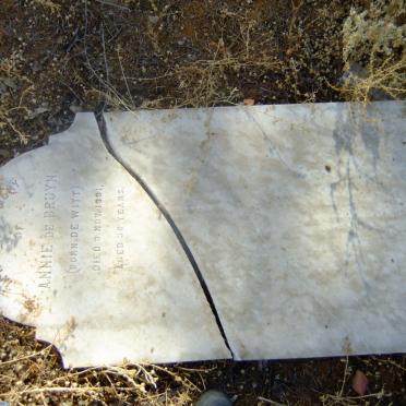 BRUYN Annie, de nee DE WITT -1881